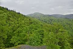 47: DSC_0448
