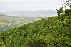 51: DSC_0454