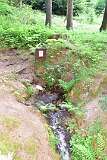 27: DSC_1003