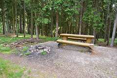 28: DSC_1004