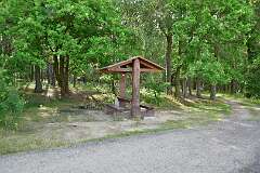 33: DSC_1011