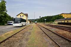 49: DSC_1036
