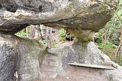 51: DSC_0535