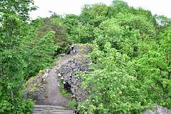 90: DSC_0595
