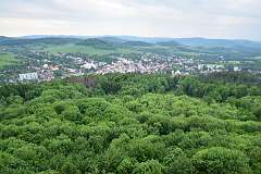 91: DSC_0596