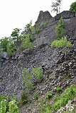 101: DSC_0608
