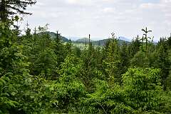 123: DSC_0645