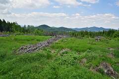 124: DSC_0647