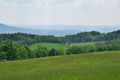 126: DSC_0650