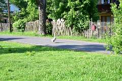 140: DSC_0668