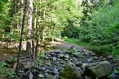 149: DSC_0700