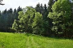 157: DSC_0719