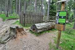 172: DSC_0742