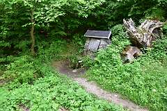 209: DSC_0807