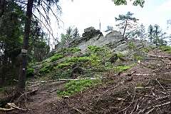 221: DSC_0825
