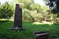 245: DSC_0869