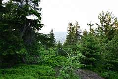 246: DSC_0870
