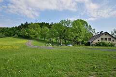 251: DSC_0876