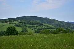 253: DSC_0878