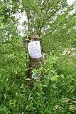 258: DSC_0883