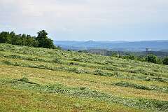 270: DSC_0900