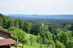 276: DSC_0911