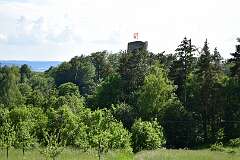 277: DSC_0912