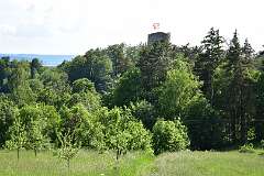 278: DSC_0913