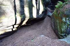 290: DSC_0942