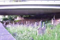 301: DSC_0959