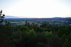 302: DSC_0960