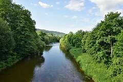 305: DSC_0967