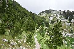 40: DSC_1105