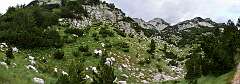 41: DSC_1106-1113