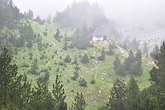 43: DSC_1115