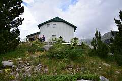 53: DSC_1132