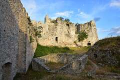 61: DSC_1141