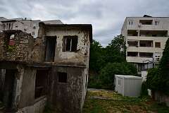 79: DSC_1166