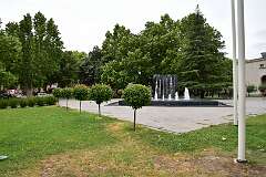 96: DSC_1184
