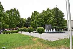 97: DSC_1185