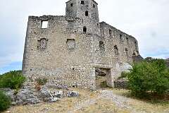 119: DSC_1218