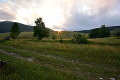 131: DSC_1232