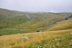 132: DSC_1233