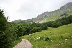 135: DSC_1236