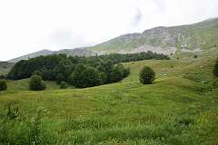 136: DSC_1237
