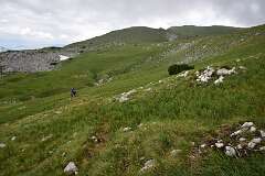 141: DSC_1242