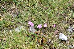 147: DSC_1248