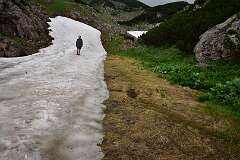 151: DSC_1252