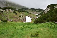 155: DSC_1256