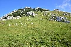 173: DSC_1283
